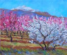 Peach Trees and the Canigou