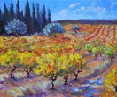 Vignes et oliviers