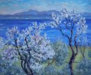 The Almond Trees
